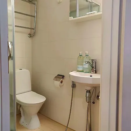 Spacious Diana In City Center