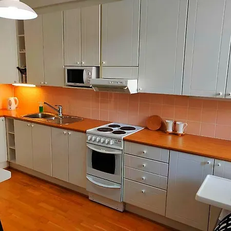 Spacious Diana In City Center Lejlighed Helsinki